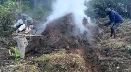Malawi urged to treat deforestation as a national crisis.webp