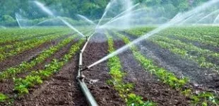 200 farmers in Geita region to benefit from irrigation systems.webp