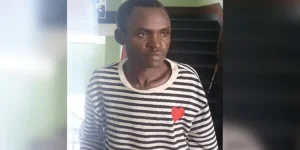 Thief steals cop’s car, escapes custody, found under the bed.webp