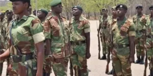 Committee backs ZDF entry into govt tenders to raise funds.webp