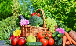 Tanzania to host horticultural conference to boost sector growth.webp