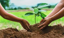 Tanzania urged to plant more trees to combat climate change.webp