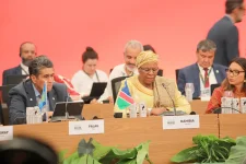 Namibia seeks N$285 billion to meet climate action goals.webp