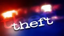 Bulawayo consultant jailed for stealing $3,105 for online betting.webp