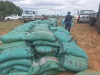 Zaka farmers get inputs under Pfumvudza for the new season.webp