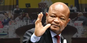 ANC keeps Mchunu in party post amid corruption probes.webp
