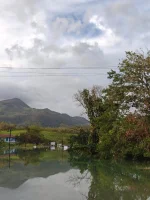 Rising waters flood Williamsfield after Hurricane Melissa.webp