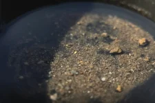 Kelantan identifies Tanah Merah, Jeli, for gold panning activities.webp