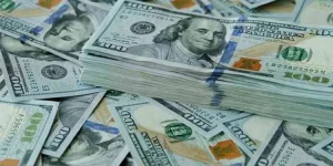 Rusape man sentenced after spending a mistaken deposit of US$1,885 and ZWL238,638.webp