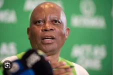 Herman Mashaba urges Operation Dudula to address immigration legally.webp