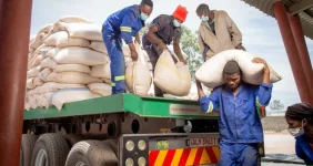 Zambia denies reports of cancelled maize export deal with Malawi.webp