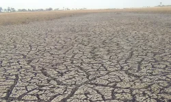 Namibia secures $3M for youth-led climate resilience project.webp