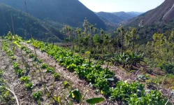 Tanzania stakeholders discuss agroecology curriculum.webp