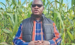 Zimbabwe’s Rural Development 8.0 boosts rural communities.webp