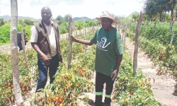 Mutoko farmer wins award, boosts community.webp