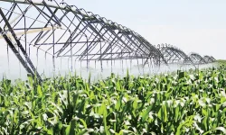 Nored loses N$28 million annually by undercharging irrigation farmers.webp