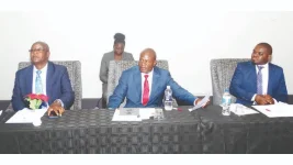 Ziyambi, Garwe vow devolution bill push.webp