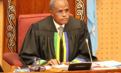 Daniel Sillo wins deputy speaker vote.webp