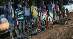 NAIMOS nabs fake task force in Aowin forest.webp