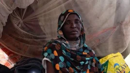 UN team to probe el-Fasher mass killings in Sudan.webp
