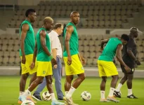 Zimbabwe fell to Algeria in a Saudi friendly.webp