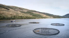 Scottish salmon adds £1bn to economy.webp