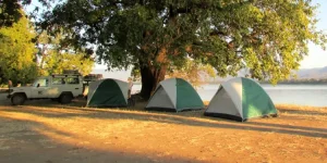 ZimParks moves to fix resort complaints.webp