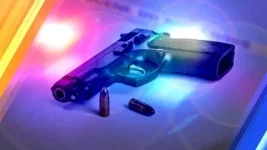 Wentworth shooting leaves two dead, five hurt.webp
