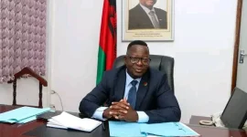 Namalomba flags review of MCP projects.webp