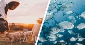 Samia targets Tanzania's livestock and fishing growth.webp