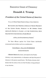 Trump pardons Suzanne Kaye after threat case.webp