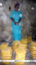 Police seize cannabis, arrest Ntoso and Ayitey.webp