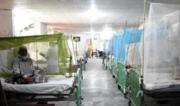 Three more die of dengue in Sindh, Pakistan.webp
