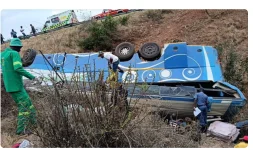 DNA tests name 6 dead Zim kids in South Africa.webp