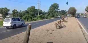 Azmiri Hossain arrested for cutting 50 trees in Cumilla.webp