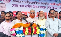 Hafizuddin Ahmed says BNP may take good AL men.webp