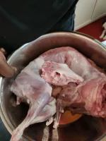 Zimbabwe rabbit meat for sale 4.webp