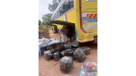 Karoi police seize drugs on Beitbridge bus.webp
