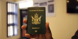 Chiwenga says Botswana embassy to issue 7-day passports.webp