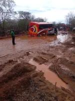 Joanah Mamombe's photo stirs row over Victoria Falls road.webp