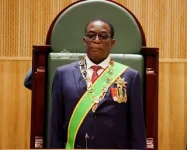 Munemo criticizes Mnangagwa's Sona for lack of substance.webp