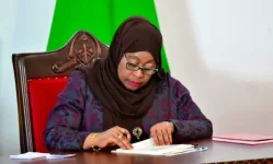 Tanzania appoints Tido Mhando as presidential advisor.webp