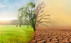 Tanzania to receive climate change funds for projects.webp