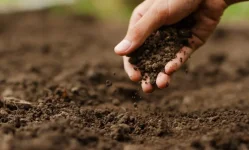 Tanzania to launch program for digital soil fertility data.webp