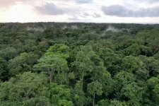 Gabon signs major forest pact.webp