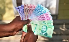 Mozambique issues more treasury bills.webp