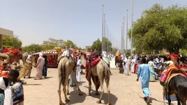 Chad faces a deadly turf war over shrinking land.webp