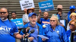 DA picket targets Tembisa loot, firms escape ban.webp