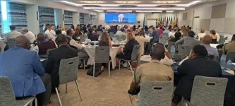 Caribbean unites as gang summit targets drug rings.webp