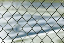 Over 250 arrested in Charlotte immigration crackdown.webp